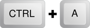 CTRL+A