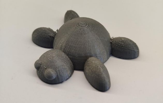 Model